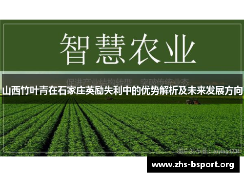 山西竹叶青在石家庄英励失利中的优势解析及未来发展方向