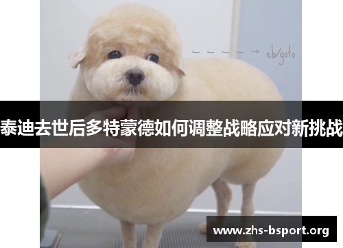 泰迪去世后多特蒙德如何调整战略应对新挑战